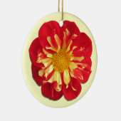 Ornament - StarSister Dahlia (Rechts)