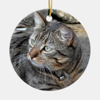 Ornament: Tabby cat Keramisch Ornament