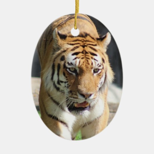 Ornament Tiger (Voorkant)