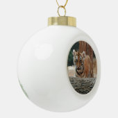 Ornament tijgerkub (Links)
