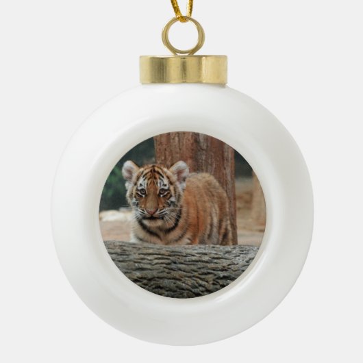 Ornament tijgerkub (Voorkant)