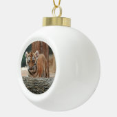 Ornament tijgerkub (Rechts)