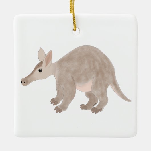 Ornament van Aardvark (Voorkant)