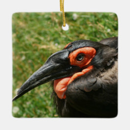 Ornament van Afrikaanse Ground Hornbill