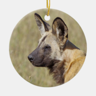 Ornament van Afrikaanse Wild Dog