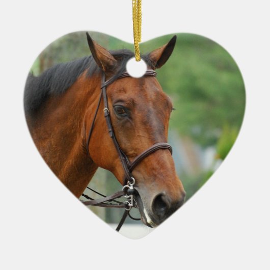 Ornament van Arabische paarden (Voorkant)