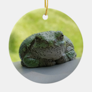 Ornament van boomkikker