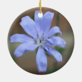 Ornament van cichorei (Achterkant)