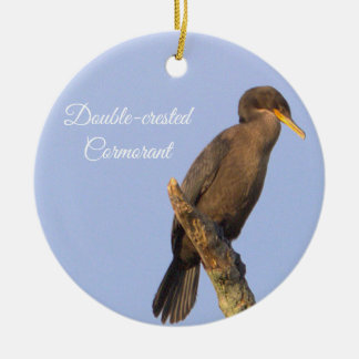 Ornament van de aalscholver met dubbele kuif
