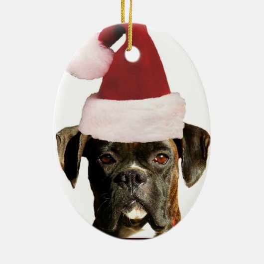 Ornament van de Boxer (Achterkant)