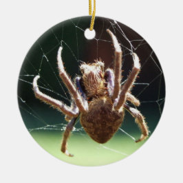 Ornament van de "Garden Orb Weaver Spider"