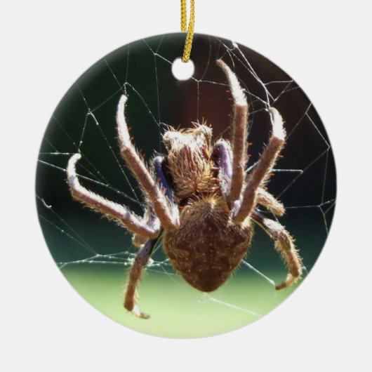 Ornament van de "Garden Orb Weaver Spider" (Voorkant)