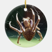 Ornament van de "Garden Orb Weaver Spider" (Achterkant)