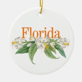 Ornament van Florida met Oranje bloesems