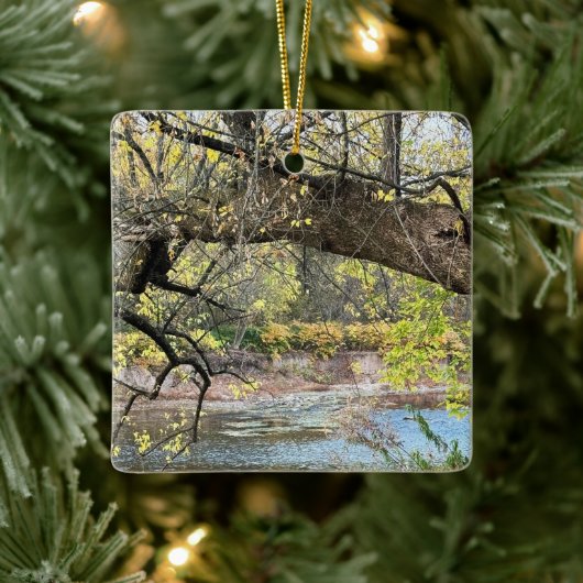 Ornament van het herfstwaterschap (Boom)
