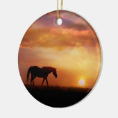 Ornament van het mooie paard (Links)