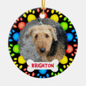 Ornament van kleurrijke vogelbomen (Voorkant)