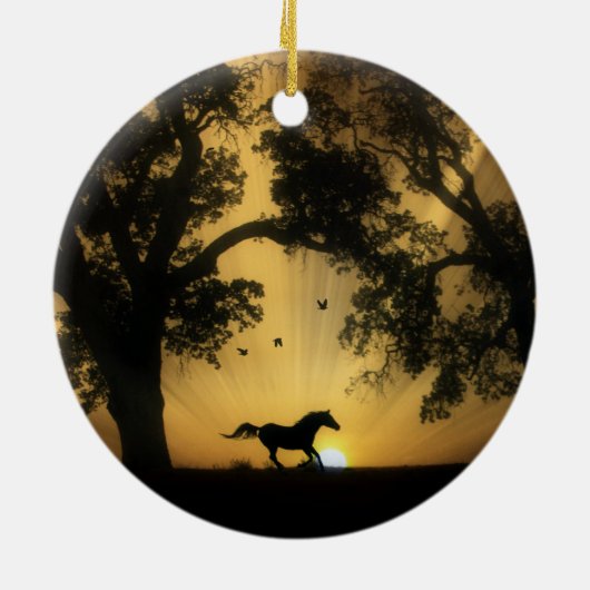 Ornament van mooie paarden en zonnepannen (Achterkant)