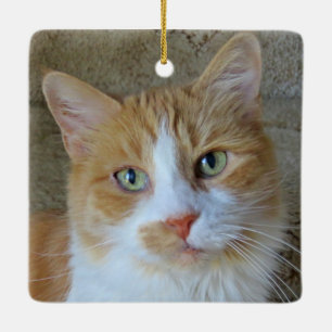 Ornament van Oranje en witte gember