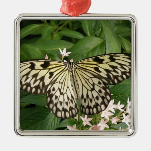 Ornament van papiermijt (Voorkant)