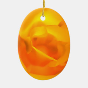 Ornament van Roos