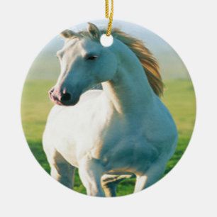 Ornament van witte paarden