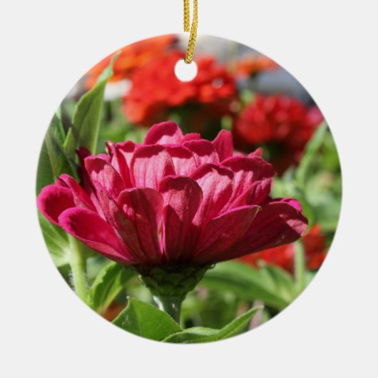 Ornament van zomertuin (Voorkant)