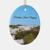 Ornament voor de Ronde van Assateague (Rechts)