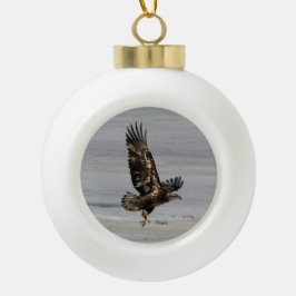 Ornament voor Hawk ball of sneeuwvlokken