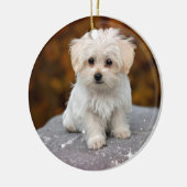 Ornament voor kerstfeestjes (Links)