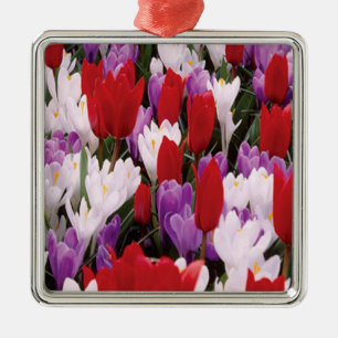 Ornament voor kleurrijke Tulp Flowers