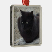 Ornament voor zwarte kat (Rechts)