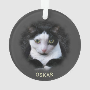 Ornament w. 2 van uw foto's en namen van Pet Acryl