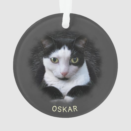 Ornament w. 2 van uw foto's en namen van Pet Acryl (achterkant)