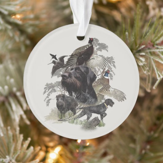 Ornament Wirehaire Pointer (Boom)