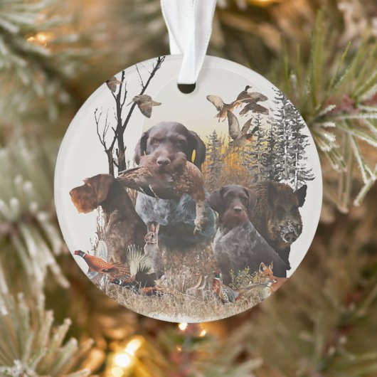 Ornament Wirehaire Pointer (Boom)