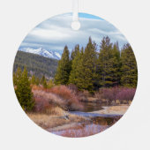 Ornament Yellowstone Mountains (Achterkant)