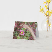 Ornamentele Herfst Grass en Roze Kosmos Kaart (Gele Bloem)