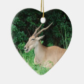 Ornamenten voor de habitat van Zuid-Eland (Rechts)