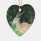 Ornamenten voor de habitat van Zuid-Eland (Links)