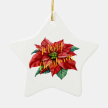 OrnamentKeramiek, Star Ornament, vakantiekeraar