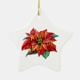 OrnamentKeramiek, Star Ornament, vakantiekeraar Keramisch Ornament