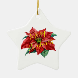 OrnamentKeramiek, Star Ornament, vakantiekeraar Keramisch Ornament