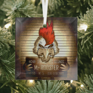 Ornance en Glas Mr Rooster Vintage Glas Ornament