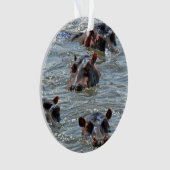 Ornement 1 de safari (devant)