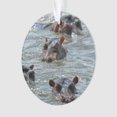 Ornement 1 de safari (devant)