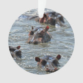 Ornement 1 de safari (devant)