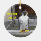 Ornement 2012 d'Archer (Dos)