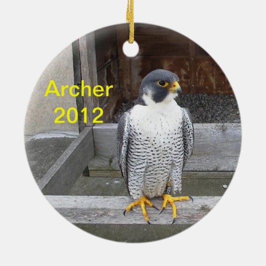 Ornement 2012 d'Archer (Dos)