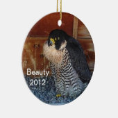 Ornement 2012 de beauté (Droite)